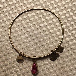 Alex Ani Pink Charm Bangle
